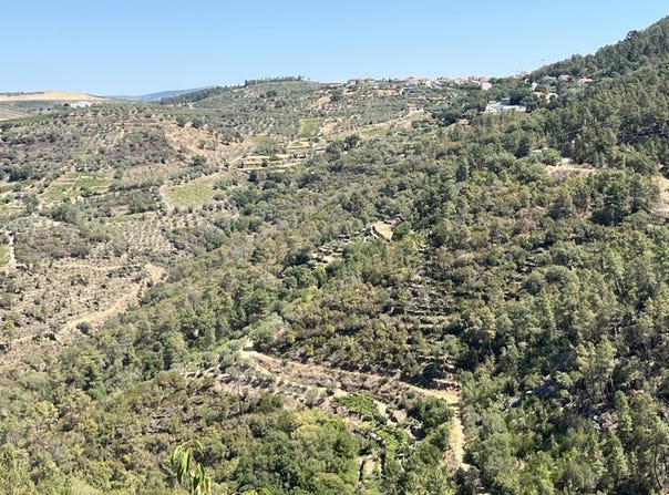 Vila Seca e Santo Adrião, Viseu District