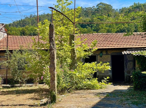 Nespereira, Braga