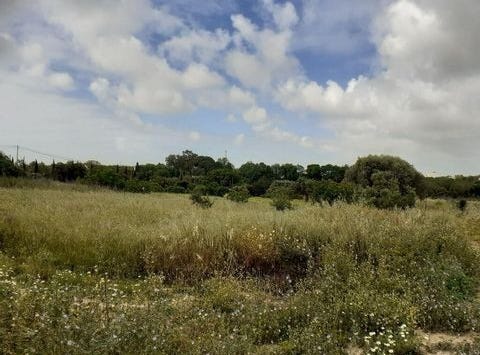 Tavira, Faro 8800-252