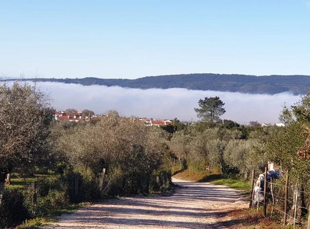 Borba, Évora District 7150-123