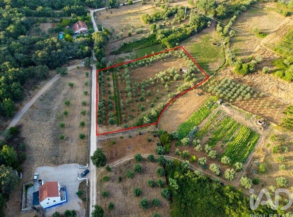 Santarém, Santarém District