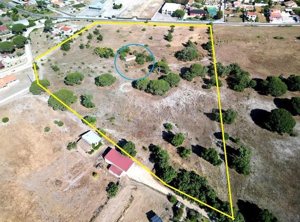 Pinhal Novo, Setúbal 2955