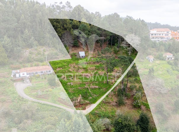 Santo António da Serra, Santa Cruz, Madeira 9100-255