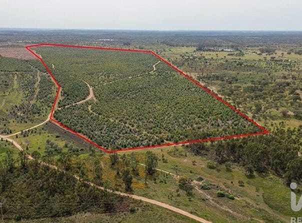 Bemposta, Santarém 2205
