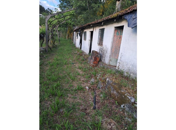 Constance, Porto District