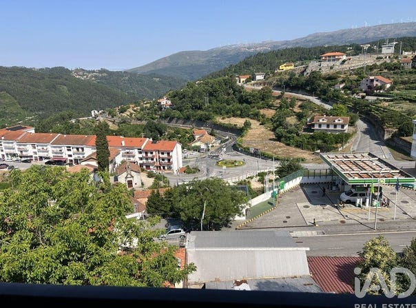 Viseu, Viseu District