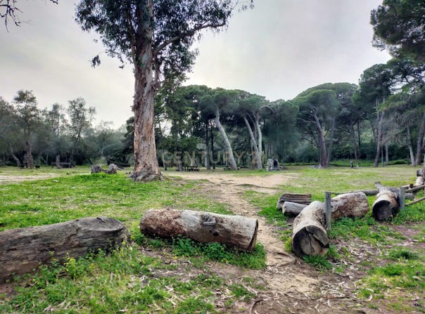 Setúbal (são Julião, Setubal