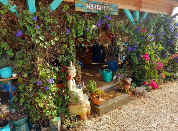 Budens, Algarve 8650