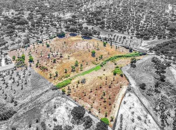 Évora, Évora District 7050