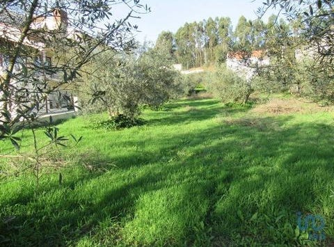 Leiria, Leiria 2420-166