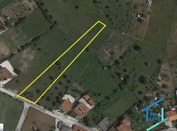 Tomar, Santarém District 2300-616