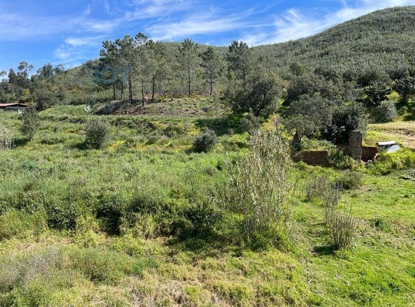 Mexilhoeira Grande, Algarve 8500