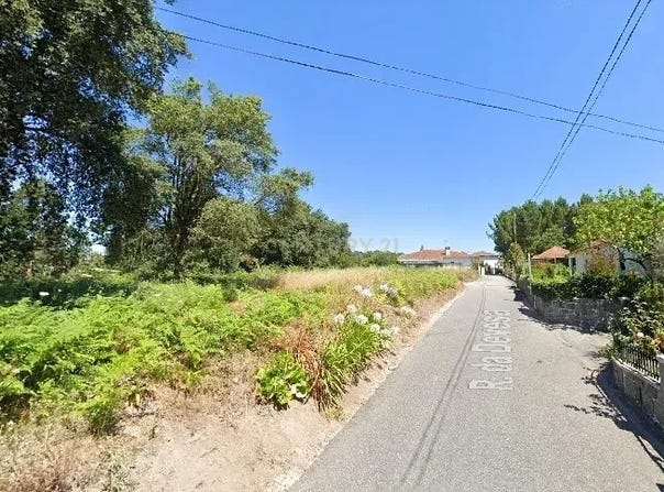 Gavião, Braga