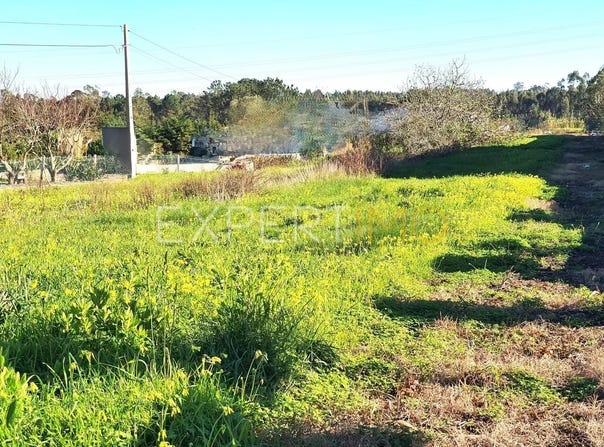 N114 45, Leiria, Leiria District 2510