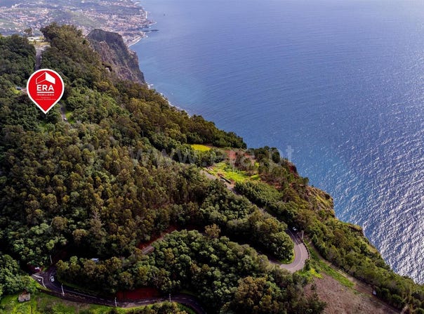 Quinta Grande, Madeira 9350