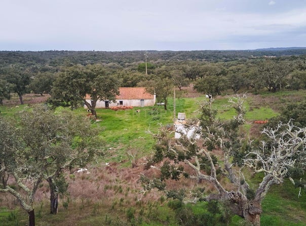 Santiago do Cacém, Setubal
