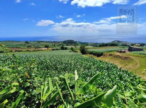 Santa Cruz, Azores