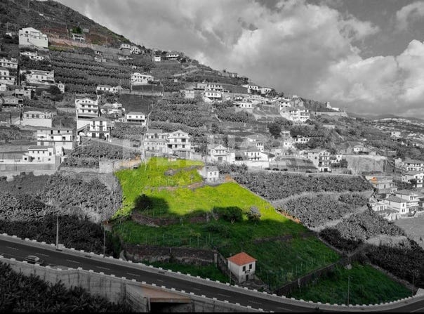 Câmara De Lobos, Madeira 9300