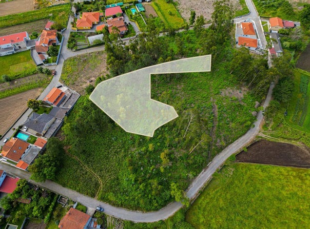 Palmeira de Faro e Curvos, Braga