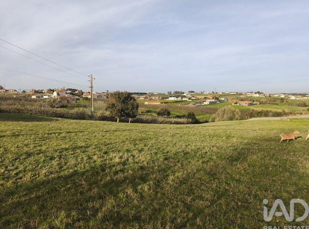 Leiria, Leiria District