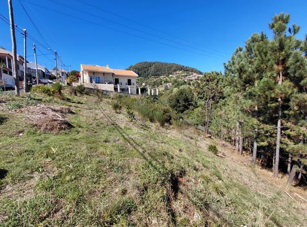 Gaula, Madeira 9100