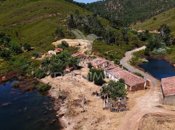 Alferce, Monchique, Algarve 8550