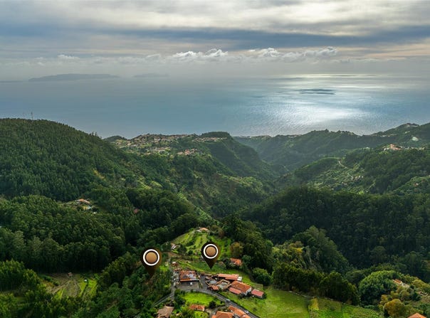 Camacha, Madeira 9135
