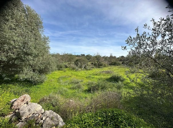 Boliqueime, Algarve