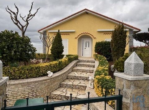 Mogadouro, Bragança 5200-024