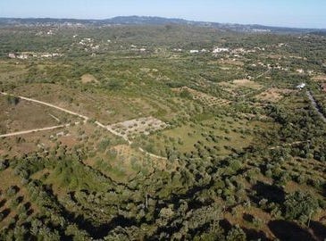 Ferreira do Zêzere, Santarém 2240-300