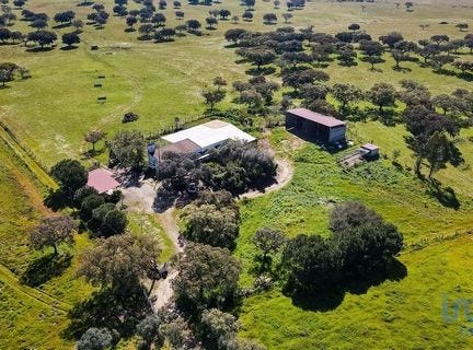 Montemor-o-Novo, Évora 7050-556