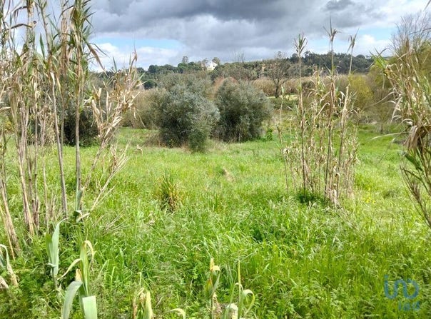 Santarém, Santarém District
