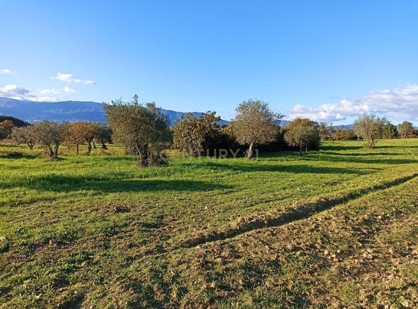 Peraboa, Castelo Branco District