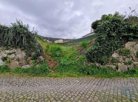 Viana do Castelo, Viana do Castelo 4900-850