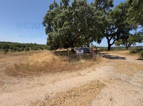 Castelo Branco, Castelo Branco 6000-730