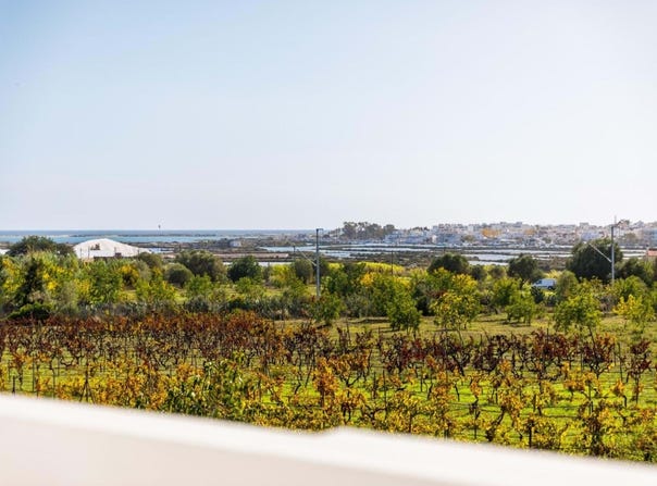 Olhão, Algarve