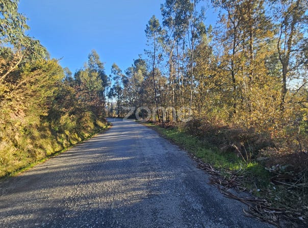 Guimarães, Braga