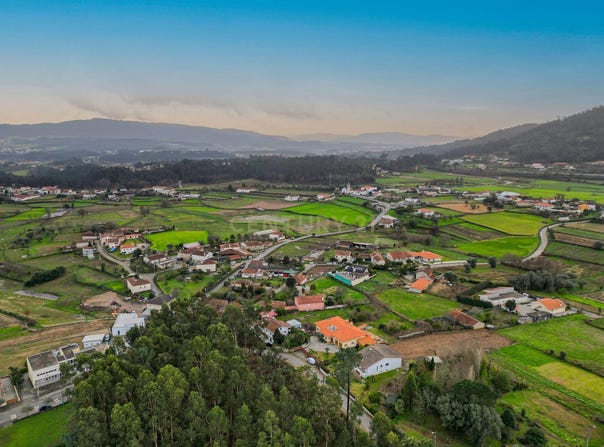 Oliveira, Braga