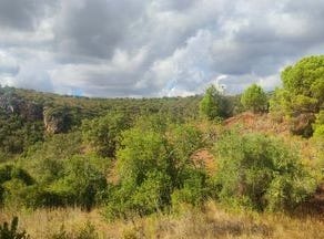 Loulé, Faro 8100-396