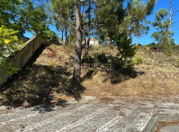 Pombal, Leiria District