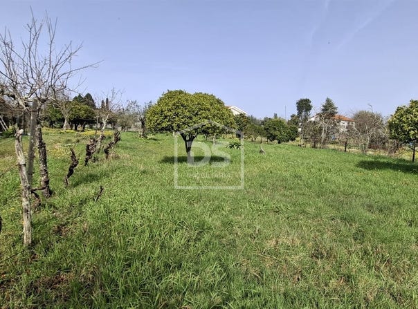 Currelos, Papízios e Sobral, Viseu 3430