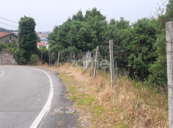 Oliveira de Azeméis, Aveiro District