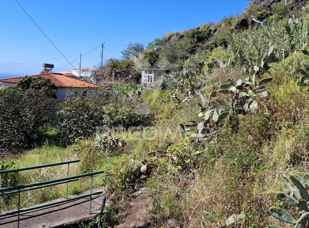 Santa Cruz, Santa Cruz, Madeira 9100