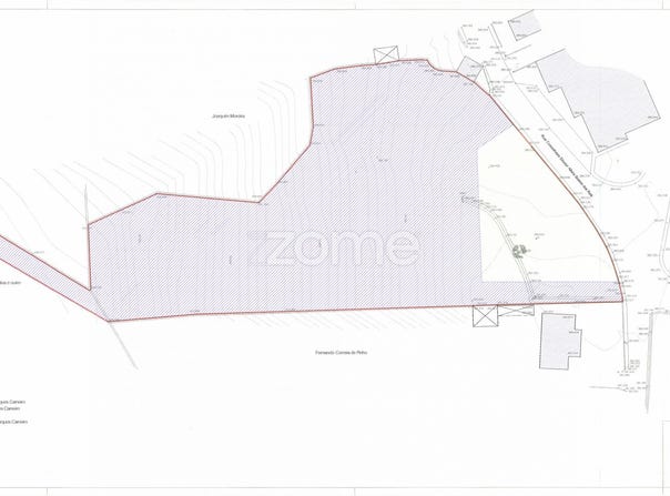 Oliveira de Azeméis, Aveiro District