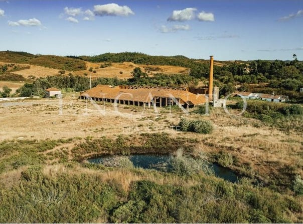 Saboia, Beja 7665