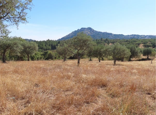 Idanha A Nova, Castelo Branco District