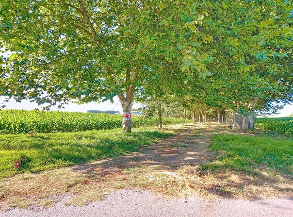 Ílhavo, Aveiro District