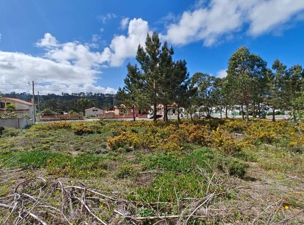 Foz Do Arelho, Leiria 2500