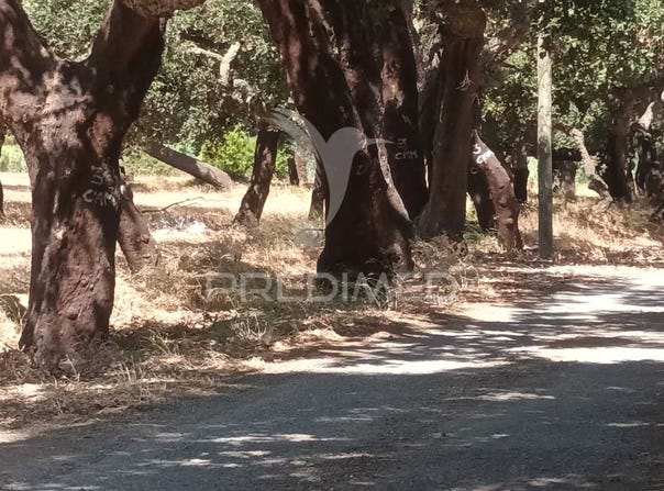 Baixa da Banheira e Vale da Amoreira, Moita, Setubal 2835