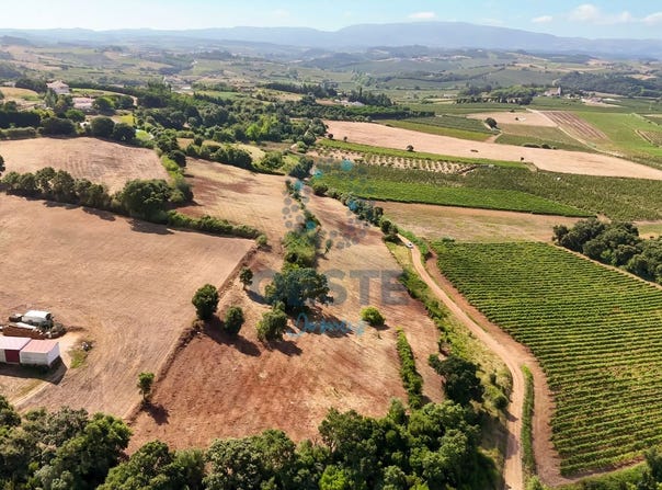 Bombarral, Leiria District
